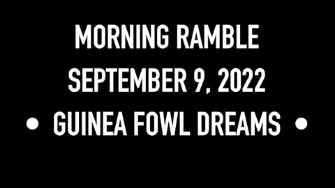 Morning Ramble - 20220909 - Guinea Fowl Dreams