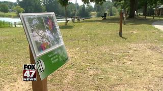 StoryWalk lets children read while enjoying nature