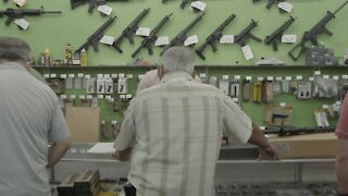 How Many Guns Have Americans Bought This Year?