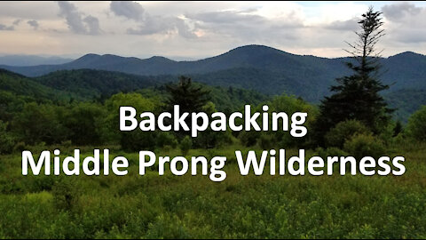 Backpacking Middle Prong Wilderness
