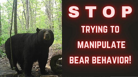 Don't Manipulate bears at baits!