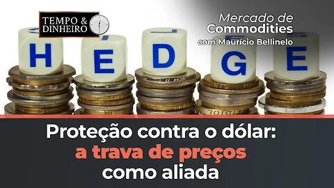 Dólar não incomoda quem tem trava de preços ou hedge cambial. Veja o que diz Maurício Bellinelo