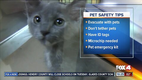 ASPCA warns people not to leave pets behind