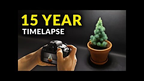 I Filmed Plants For 15 years | Time-lapse Compilation