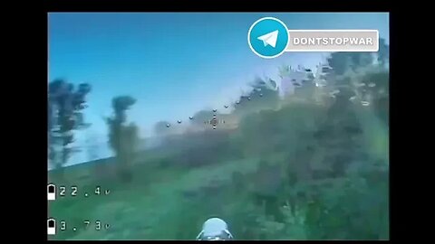 FPV kamikaze drone chasing and DeNAZIfying a Ukrainian soldier