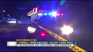 Violent Crimes Up, Nonviolent Crimes Down in Cape Coral