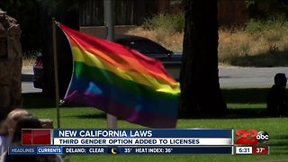 New years, new laws: third gender option on state IDs
