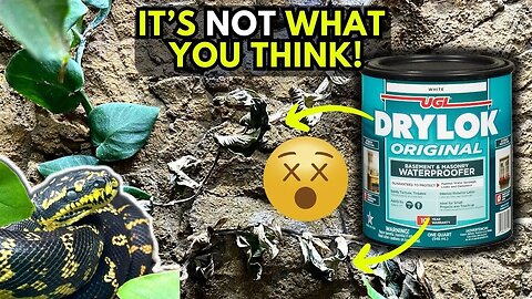 Why Drylok is KILLING your Reptile's Plants & How to Prevent it!