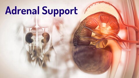 Adrenal Support (Energy Healing/Frequency Music)