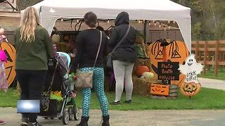 Zoo Boo offers Halloween family fun at the NEW Zoo