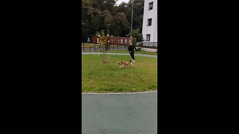 Owner Tries To Exercise Her Dog But Ends Up Being Vice Versa