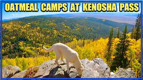 SUV Camping at Kenosha Pass with my Dog Oatmeal