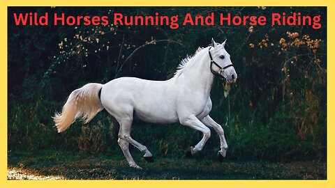 WILD HORSES RUNNING AND HORSE RIDING