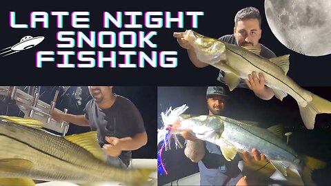 Late Night Snook Fishing Shenanigans