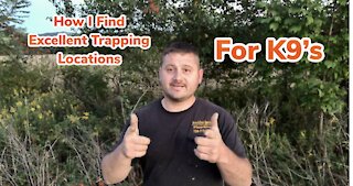 Fox & Coyote Trapping Locations Explained