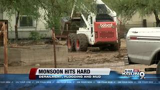 Monsoon: Derailment, mud and an animal shelter in trouble 6p