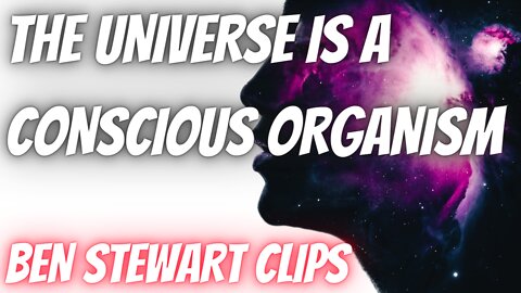 The Universe Is A Conscious Organism | Kymatica