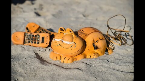Why Do Garfield Phones Keep Washing Up on This Beach?