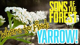 Sons of the Forest Where to Find Yarrow