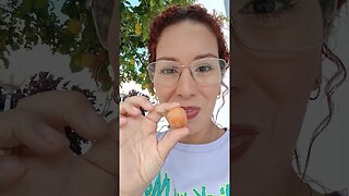 roubando fruta em Portuga