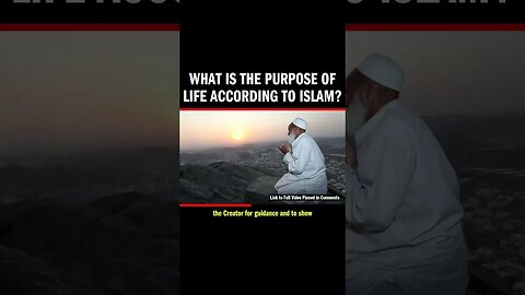 What is the PURPOSE of LIFE according to Islam?