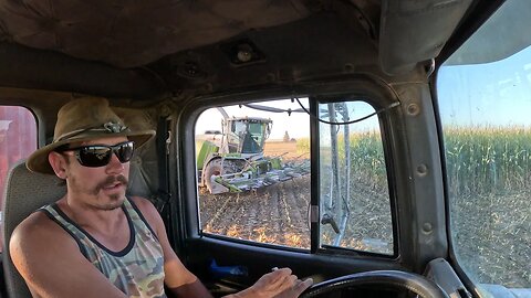 What Do Shearers Do In The Off Season? Drive Truck For Corn Silage, Chase Cantrell