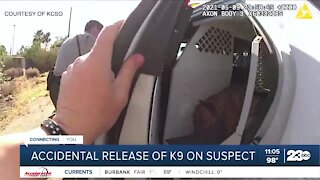 Accidental release of K-9 on suspect