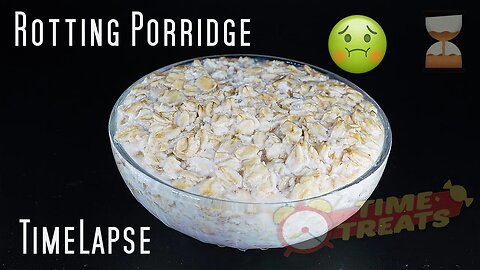 Porridge Bowl Rotting Decomposting - Timelapse