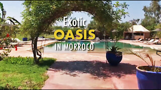 Exotic Oasis in Morocco