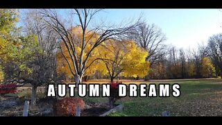 Dreams in Autumn