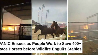Panic Ensues as People Work to Save 400+ Race Horses before Wildfire Engulfs Stables