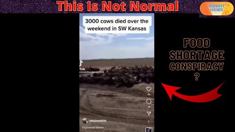 2000 Cows Die Overnight In Kansas , Conspiracy ??