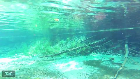 Breathtaking underwater springs reveal hidden geological wonder