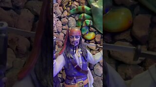 I found Jak sparrow | Johnny depp