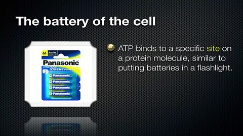 ATP - Energy of the Cell