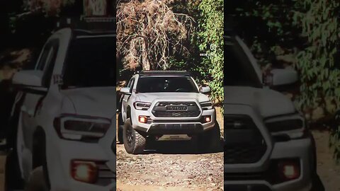 The many looks of the Tacoma