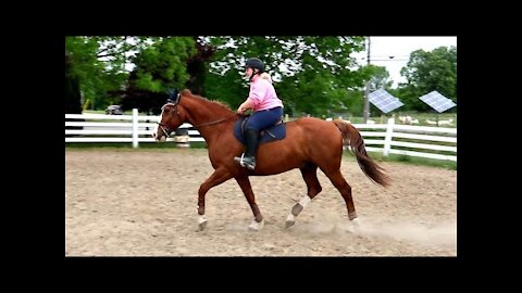 We Found Her Dream Horse!