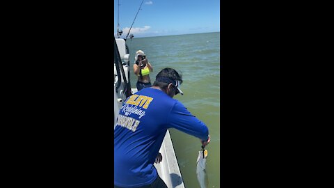 Large trout released