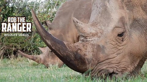 Rhino Sanctuary Visit | Lalashe Maasai Mara Safari