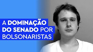 A dominação do Senado por bolsonaristas