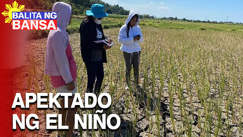 Mahigit 4.5 milyong katao ang apektado ng El Niño —DSWD
