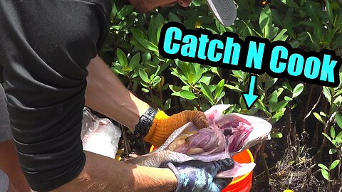 cooking a whole snapper | Key Largo Spearfishing | Catch N Cook