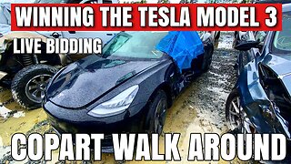 Winning Tesla Model 3, Live Auction, Copart Walk Around