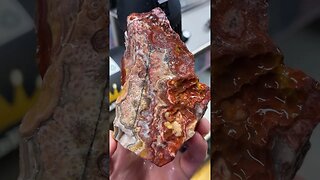 Insane Crazy Lace Agate!