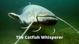 The Catfish Whisperer | The Broken Nomad