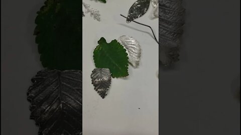 Leaves from our backyard cast is .999 silver from PMC
