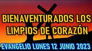 EL EVANGELIO DEL DÍA BIENAVENTURADOS LIS LIMPIOS DE CORAZON LUNES 12 JUNIO 2023