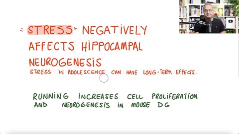 Brain Fog and Neurogenesis