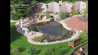 Backyard pond