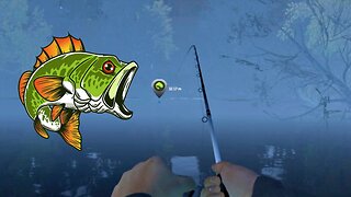 Oh no, the fishing net is full, Professional fishing pc game